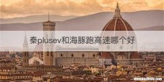 秦plusev和海豚跑高速哪个好