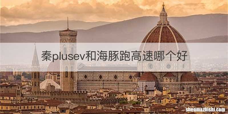 秦plusev和海豚跑高速哪个好