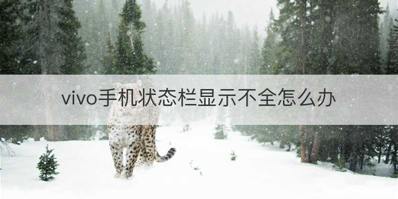 vivo手机状态栏显示不全怎么办