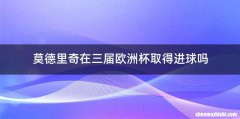 莫德里奇在三届欧洲杯取得进球吗