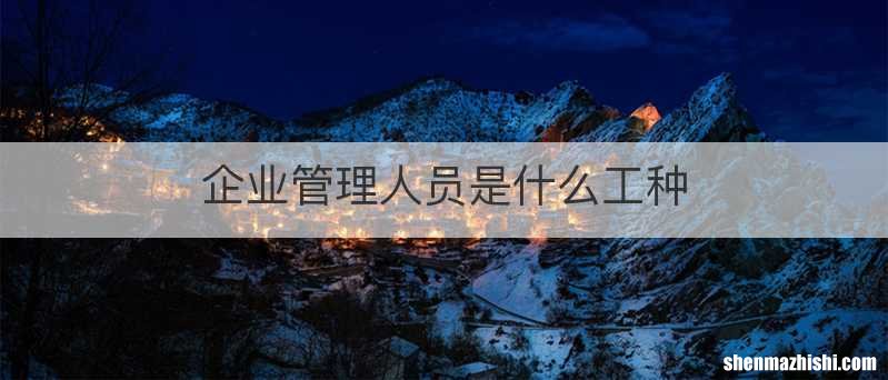 企业管理人员是什么工种