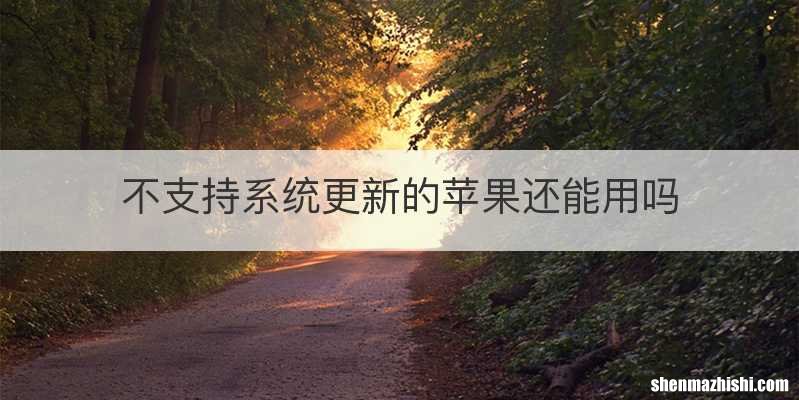 不支持系统更新的苹果还能用吗