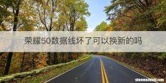 荣耀50数据线坏了可以换新的吗