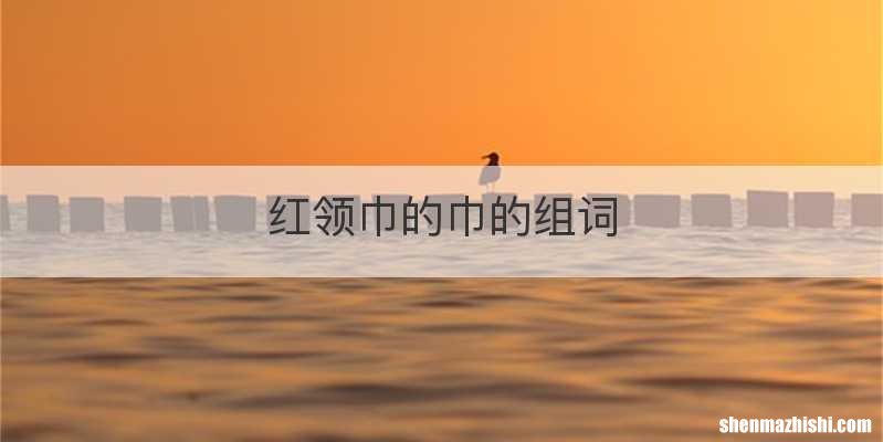 红领巾的巾的组词