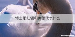 博士服红领和黄领代表什么