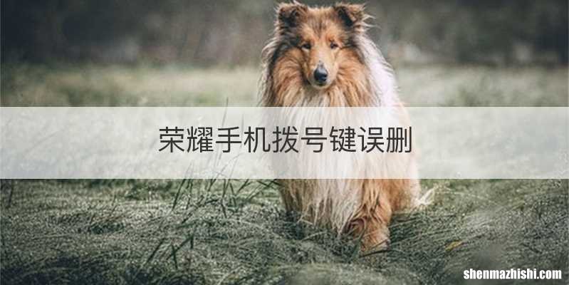 荣耀手机拨号键误删