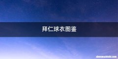 拜仁球衣图鉴