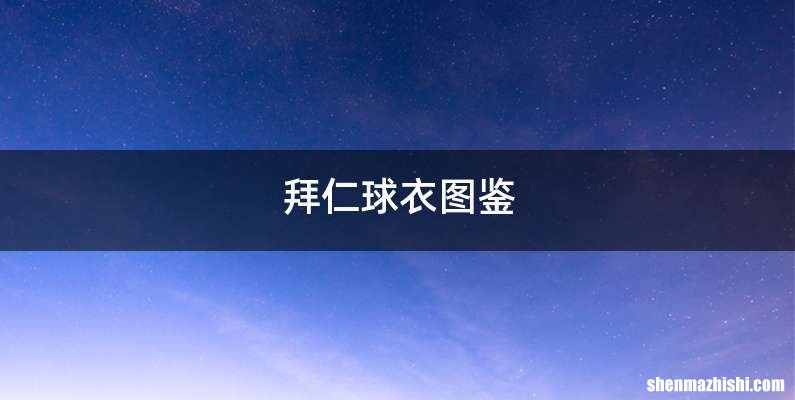 拜仁球衣图鉴