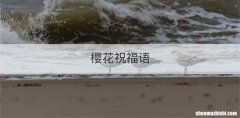 樱花祝福语