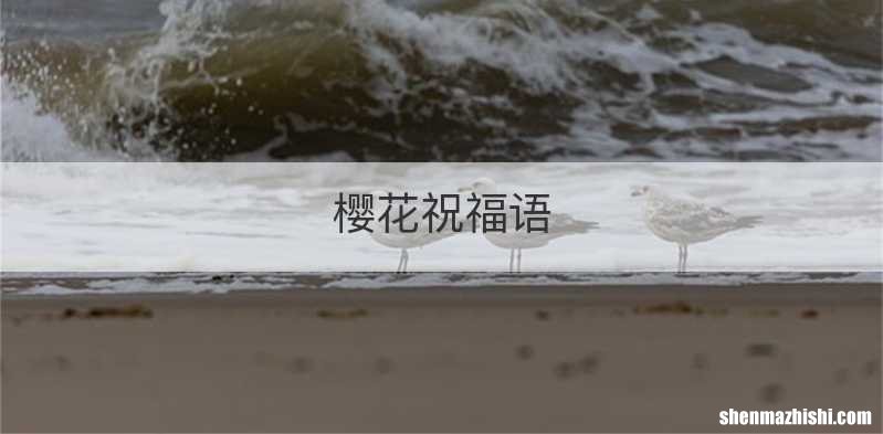 樱花祝福语