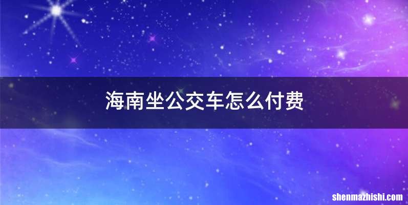 海南坐公交车怎么付费