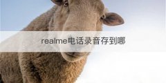 realme电话录音存到哪