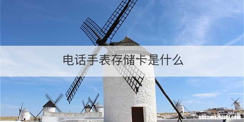 电话手表存储卡是什么