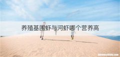 养殖基围虾与河虾哪个营养高
