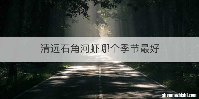 清远石角河虾哪个季节最好