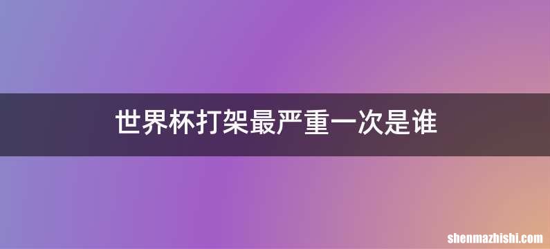 世界杯打架最严重一次是谁
