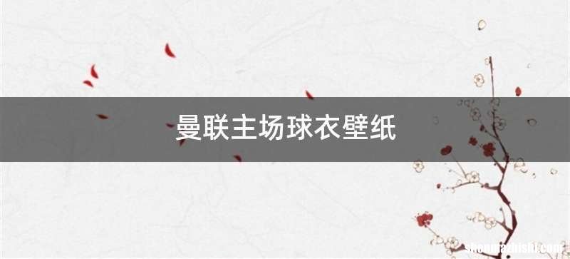 曼联主场球衣壁纸