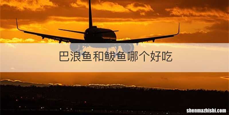 巴浪鱼和鲅鱼哪个好吃