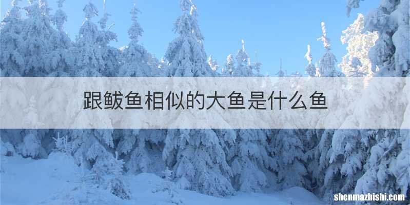 跟鲅鱼相似的大鱼是什么鱼