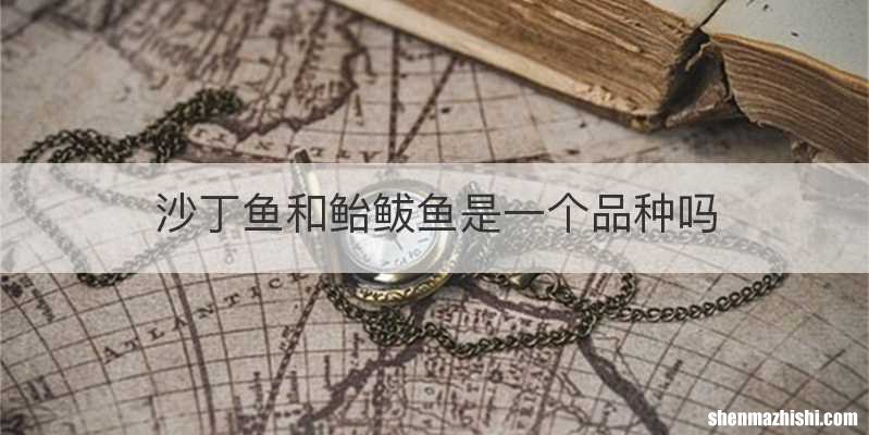 沙丁鱼和鲐鲅鱼是一个品种吗
