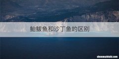 鲐鲅鱼和沙丁鱼的区别