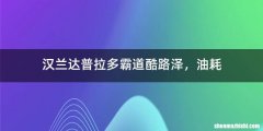 汉兰达普拉多霸道酷路泽，油耗