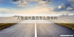 人类祖先露西怎么得来的