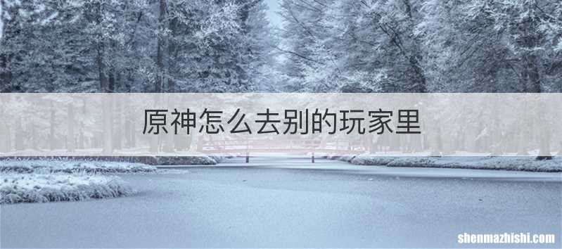 原神怎么去别的玩家里