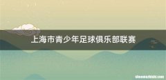 上海市青少年足球俱乐部联赛