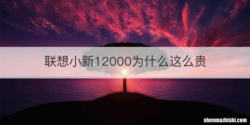 联想小新12000为什么这么贵