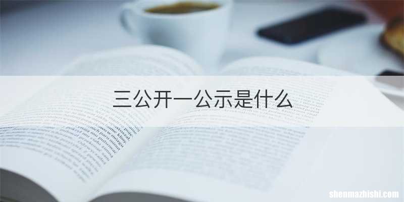 三公开一公示是什么