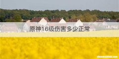 原神16级伤害多少正常