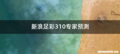 新浪足彩310专家预测