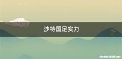 沙特国足实力