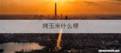 烤玉米什么梗