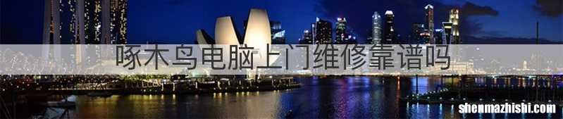 啄木鸟电脑上门维修靠谱吗