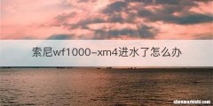 索尼wf1000-xm4进水了怎么办