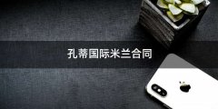 孔蒂国际米兰合同