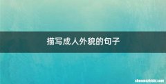 描写成人外貌的句子