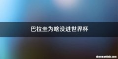 巴拉圭为啥没进世界杯