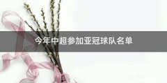 今年中超参加亚冠球队名单