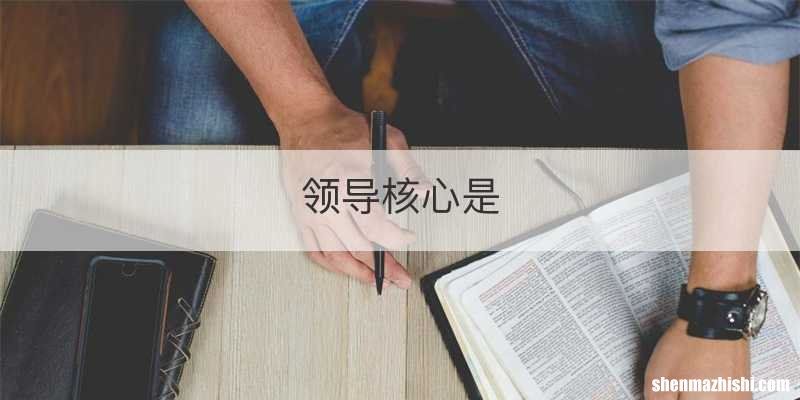 领导核心是