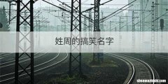 姓周的搞笑名字