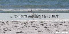 大学生的宿舍能邋遢到什么程度