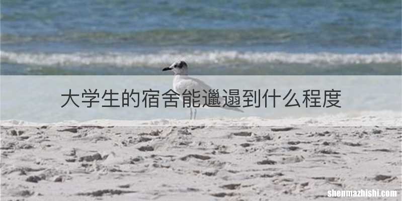 大学生的宿舍能邋遢到什么程度