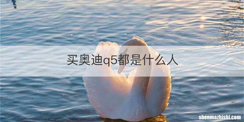 买奥迪q5都是什么人