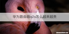 华为路由器q2s怎么越来越贵