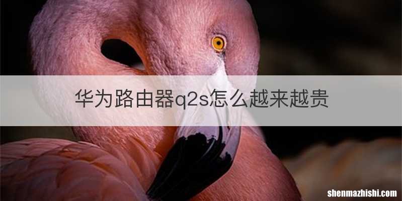华为路由器q2s怎么越来越贵