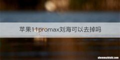 苹果11promax刘海可以去掉吗