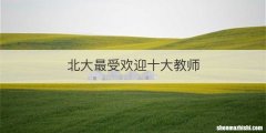北大最受欢迎十大教师